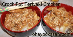 Crock Pot Teriyaki Chicken