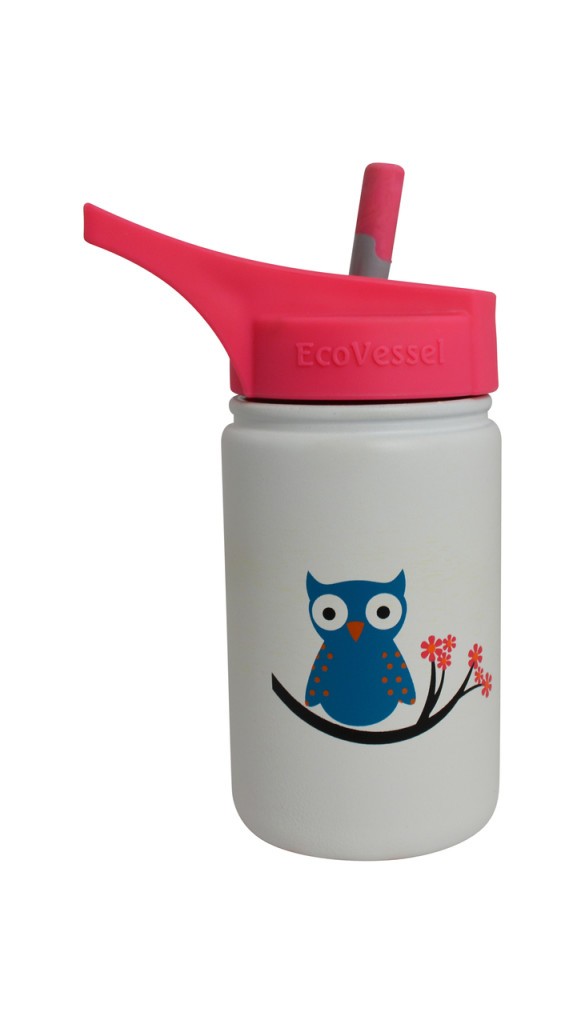 eco vessel scout kids stainless steel bottle