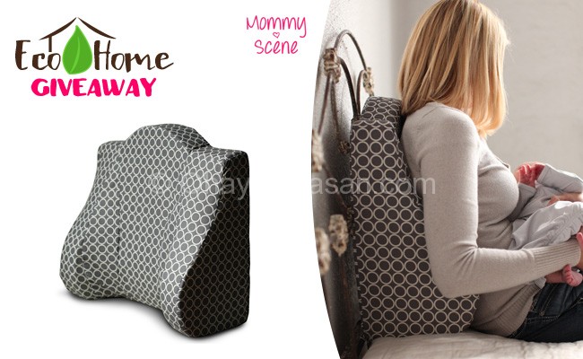 Eco-Home Giveaway - Back Buddy Support Pillow