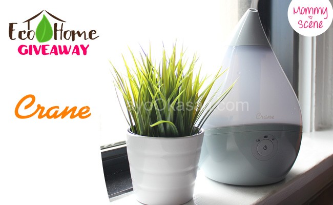 Eco-Home Giveaway - Crane Grey Droplet Humidifier