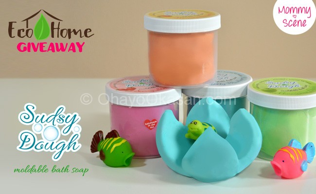 Eco-Home Giveaway - Sudsy Dough