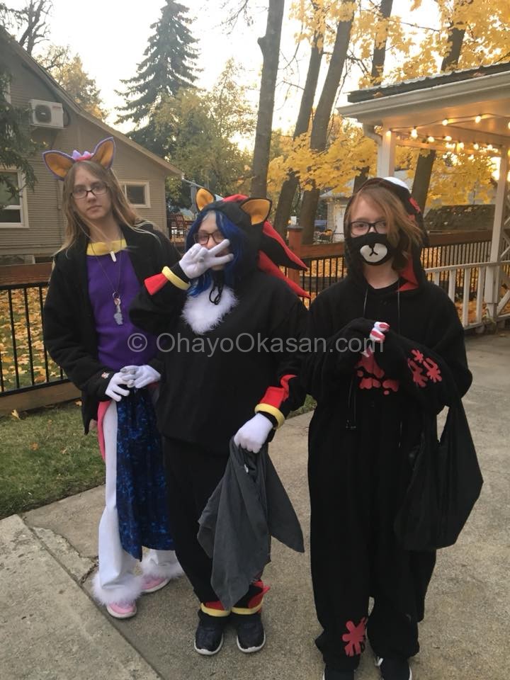 Shadow The Hedgehog and Blaze the Cat costumes - cosplay - Halloween 2017