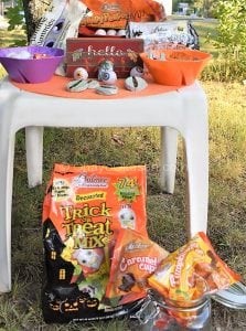 Favorite Palmer Candy