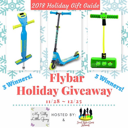 Flybar Holiday Giveaway