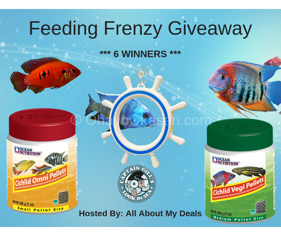 feeding frenzy giveaway image